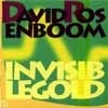 Rosenboom, David - Invisible Gold POGUS 21022