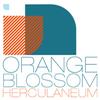 Herculaneum - Orange Blossom 482-1051