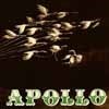 Apollo - Apollo vinyl lp (due to size and weight, this price for the USA only. Outside of the USA, the price will be adjusted as needed) 21-MFM 013