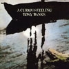 Banks, Tony - A Curious Feeling CD + 5.1 / hi-res DVD-A (expanded / remixed / remastered) 21-ECLEC 22532