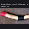 Brotzmann, Peter / ICI Ensemble - Beautiful Lies 05-NEOS 41601CD