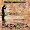 Barracuda Triangle - Electro Shock Therapy 19-Reingold RRCD 012