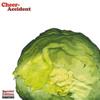 Cheer-Accident - Salad Days (remastered) GR 123 CD