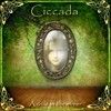Ciccada - A Child in the Mirror 33-Fading 001