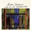 Gordon, Peter - Love of Life Orchestra 28-DFA 2229