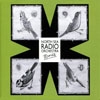 North Sea Radio Orchestra - Birds THM 002