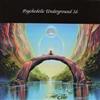 Various Artists - Psychedelic Underground 16 (Mega Blowout Sale) 18-GOD 160