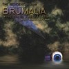 Residents - The 12 Days Of Brumalia 21-MVD 6611A