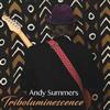 Summers, Andy - Triboluminescence 28-CRGR5044667.2
