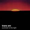 Trans Am - Surrender To The Night 39-CD-THRILL-038