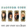 Blossom Toes - We Are Ever So Clean  05/SUNBEAM 5035