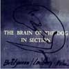 Brotzmann, Peter/Fred Lonberg-Holm - The Brain of the Dog in Section 21/ATAVISTIC ALP 186