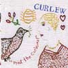 Curlew - Meet The Curlews Rune 157