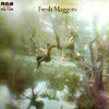 Fresh Maggots - Hatched 05/Sunbeam 5002