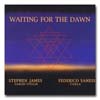 James, Steve/Ferderico Sanesi - Waiting For The Dawn 08/FY 8024
