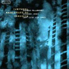 Hellborg, Jonas/Shawn Lane/Jeff Sipe - Temporal Analogues of Paradise 29/Bardo 136