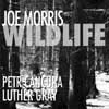 Morris, Joe - Wildlife 05/AUM 056