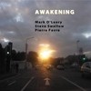 O'Leary, Mark/Steve Swallow/Pierre  Favre - Awakening 29/LEO 460