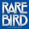 Rare Bird - As Your Mind Flies By  23/ESOTERIC 2002