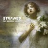 Strawbs - The Broken Hearted Bride 17/WITCHWOOD 2044