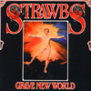 Strawbs - Grave New World 15/AANDM 540934