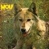 Way, Darryl/Wolf - Canis Lupis (expanded/remastered) 23/ESOTERIC 2065