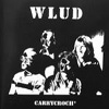 WLUD - Carrycrouch 01/Musea 4166